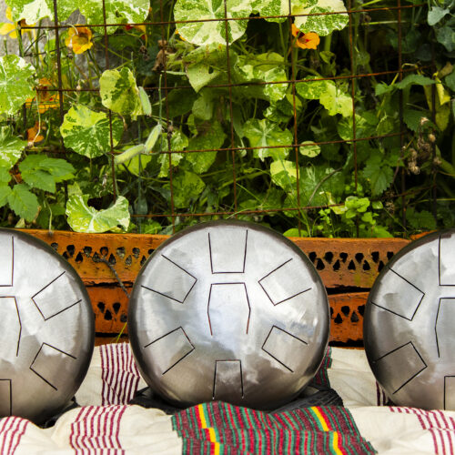 Bergtagna Hankdrum: F-major